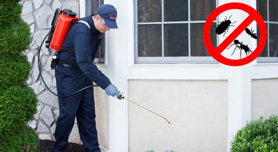 Torbalı Böcek İlaçlama böcek ilaçlama ve haşere kontrolü — ilaclama-tr.com